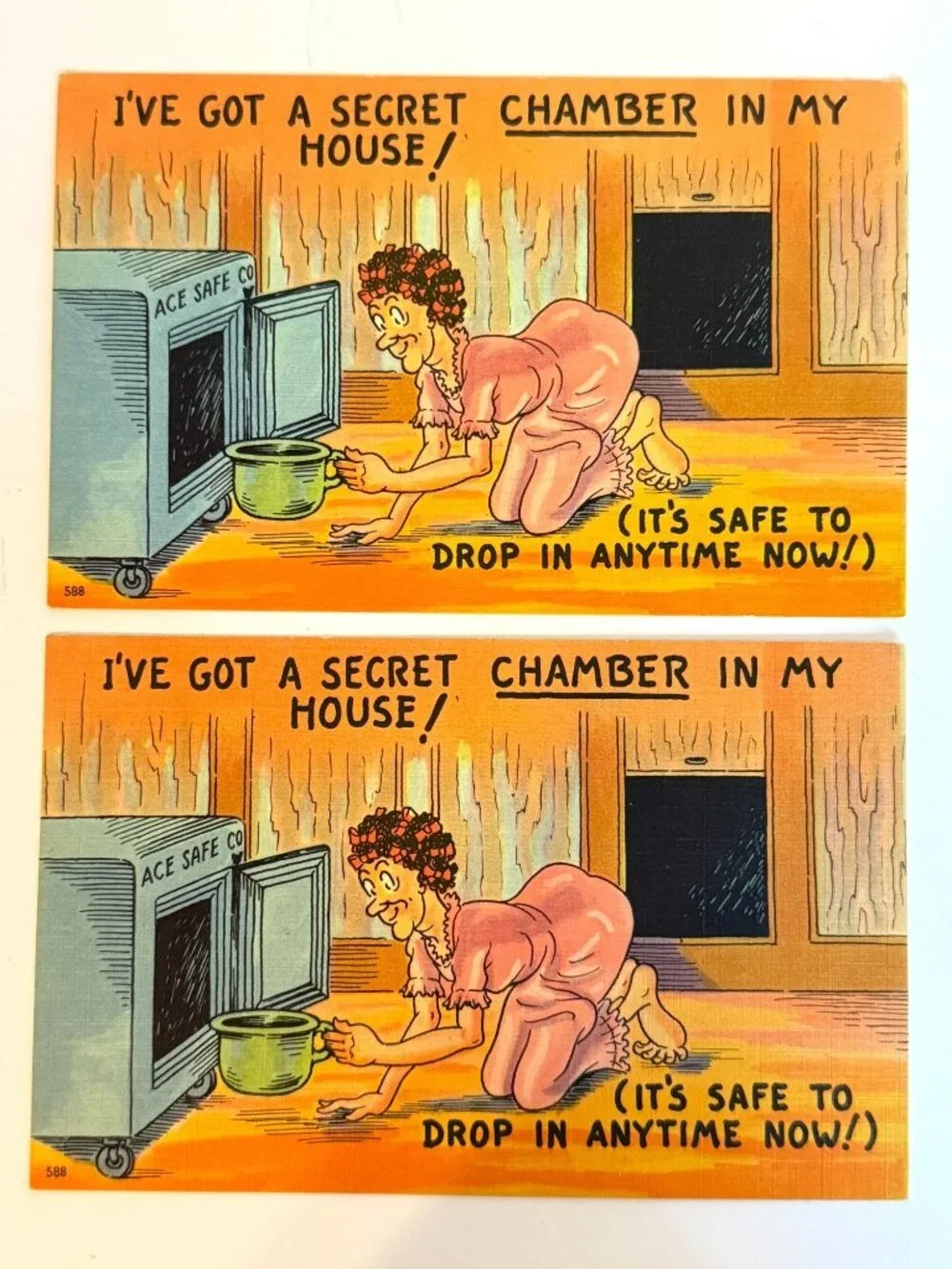 Vtg I've Got A Secret Chamber in my House Postcard Old Lady Humor Money Ace Safe